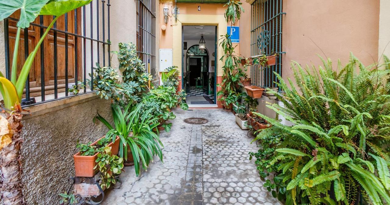 Apartamentos Sta Maria La Blanca Sevilla Eksteriør billede